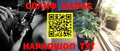 apvp Нальчик