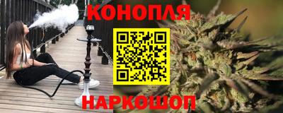 apvp Нальчик