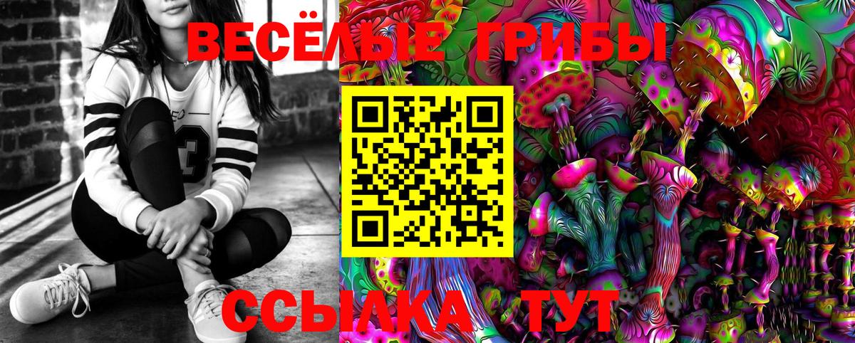 Галлюциногенные грибы Psilocybine cubensis Югорск
